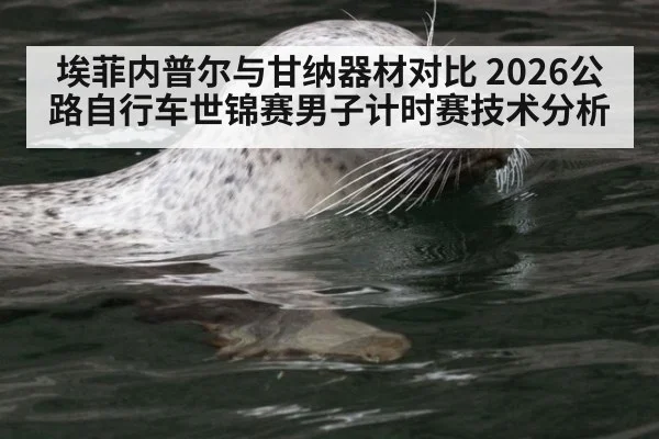 埃菲内普尔与甘纳器材对比 2026公路自行车世锦赛男子计时赛技术分析
